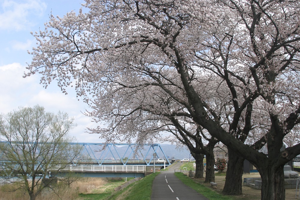 金子公園1の画像