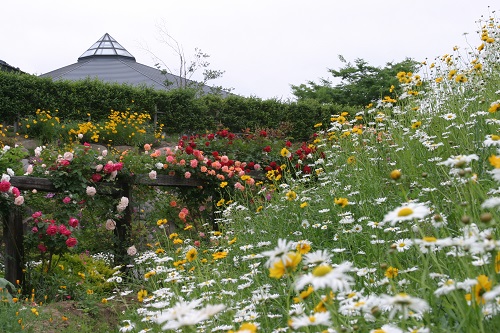 つきだて花工房1の画像