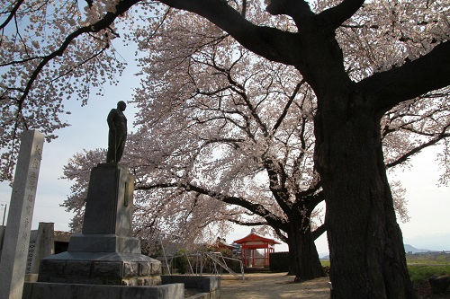 金子公園3の画像