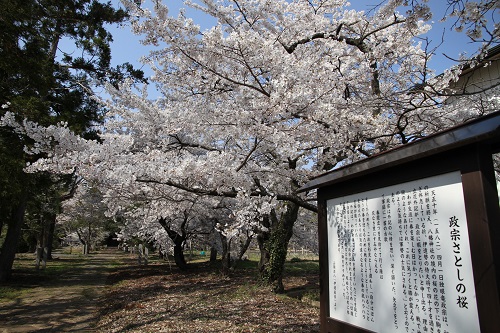 梁川龍宝寺2の画像