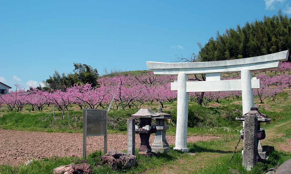 高子岡舘跡