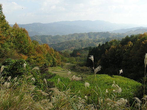 女神山3の画像