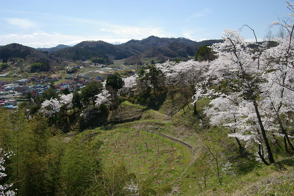 桜の名所