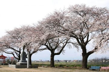 金子公園・伊達稲荷神社