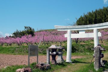 高子岡舘跡