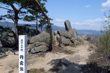 丹露盤