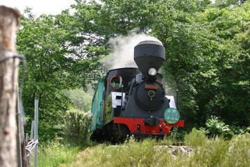 やながわ希望の森公園SL