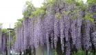 二野袋公園